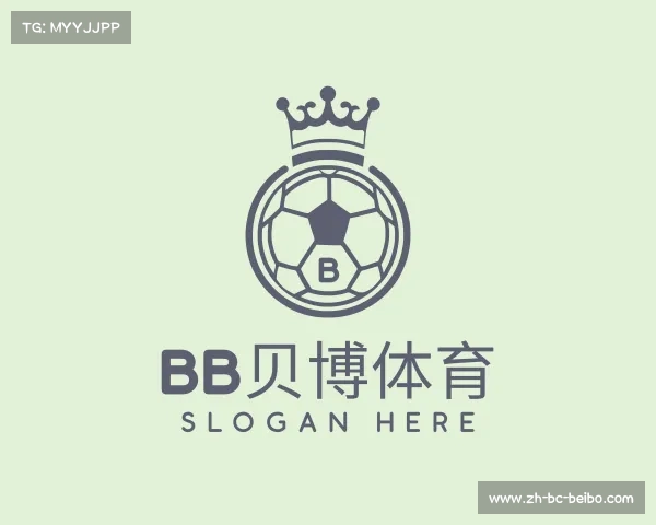 认识BB贝博体育